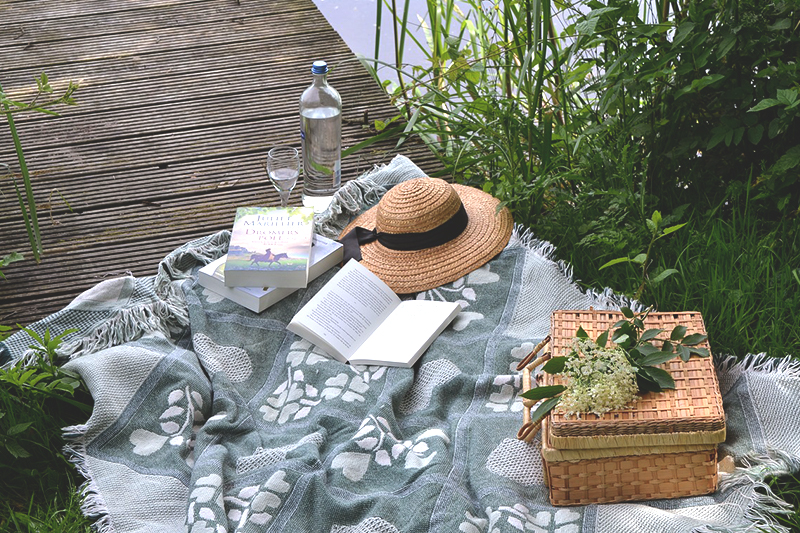 Let’s Go on a Picnic!