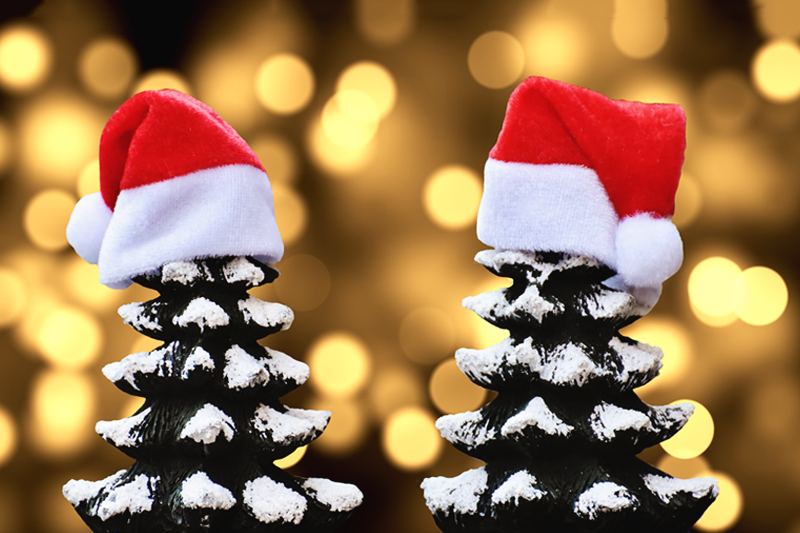 Who Will You Be Spending Christmas with?