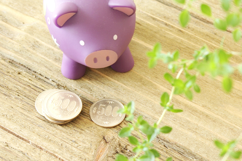 365-Day Money Challenge