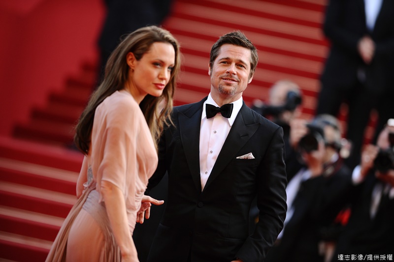 Court Papers Reveal Split Custody for Brangelina Children