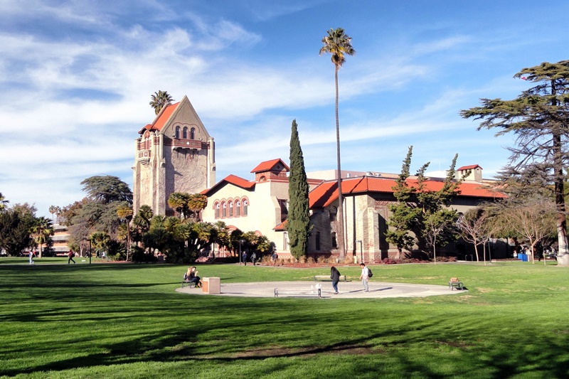 A Transfer Student