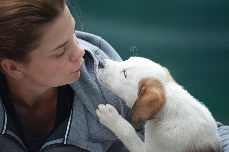 Pet Lovers Should Stop Smoking