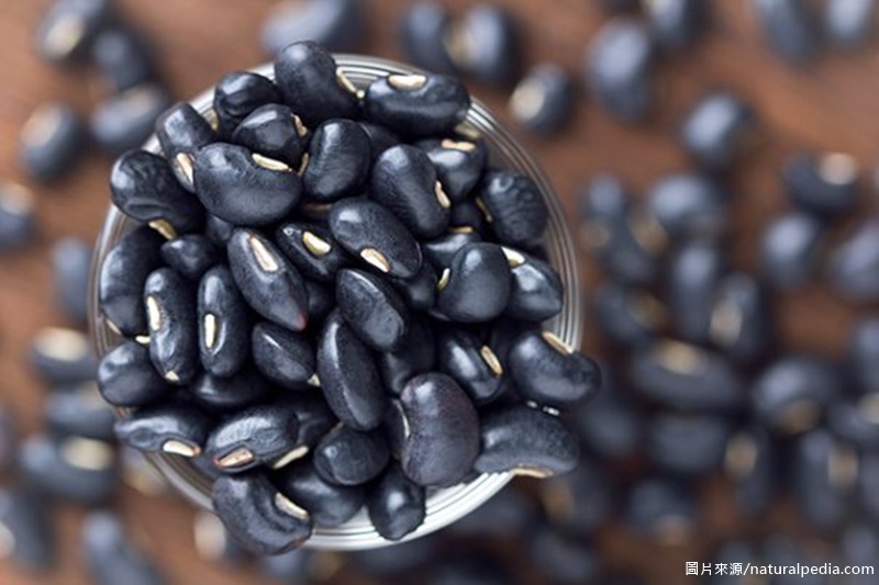 Making Black Bean Yogurt