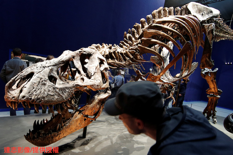 HTC “Revives” T-Rex at the American Museum of Natural History