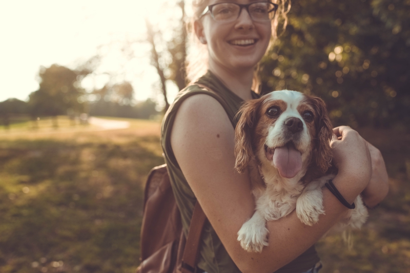 Making a Good Decision for Your Pets
