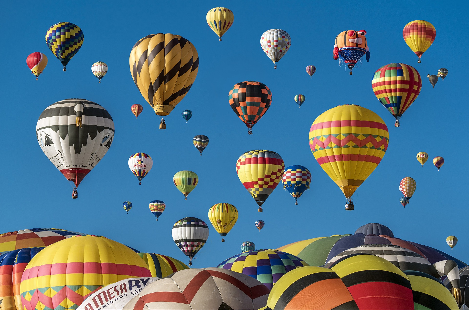 Going on a Hot Air Balloon Ride