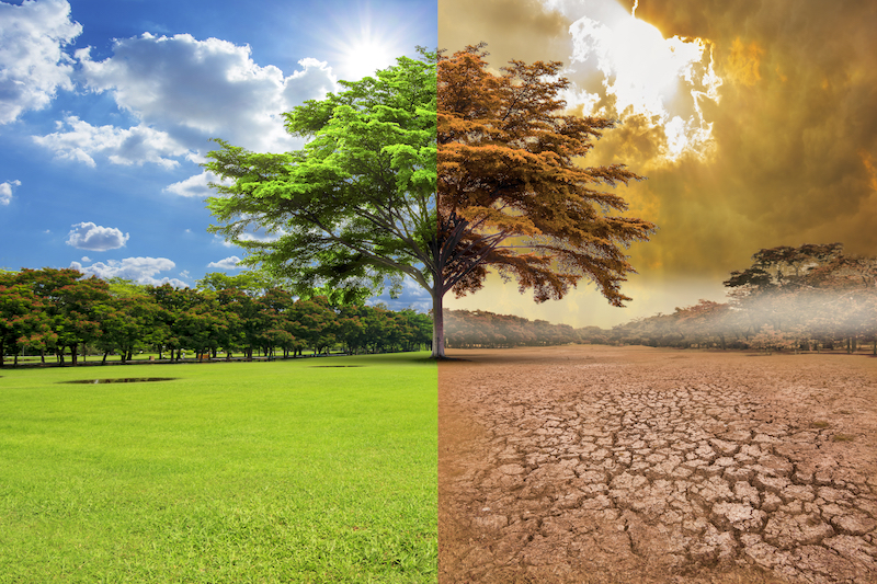 Carbon Dioxide Reaches Its Highest Level