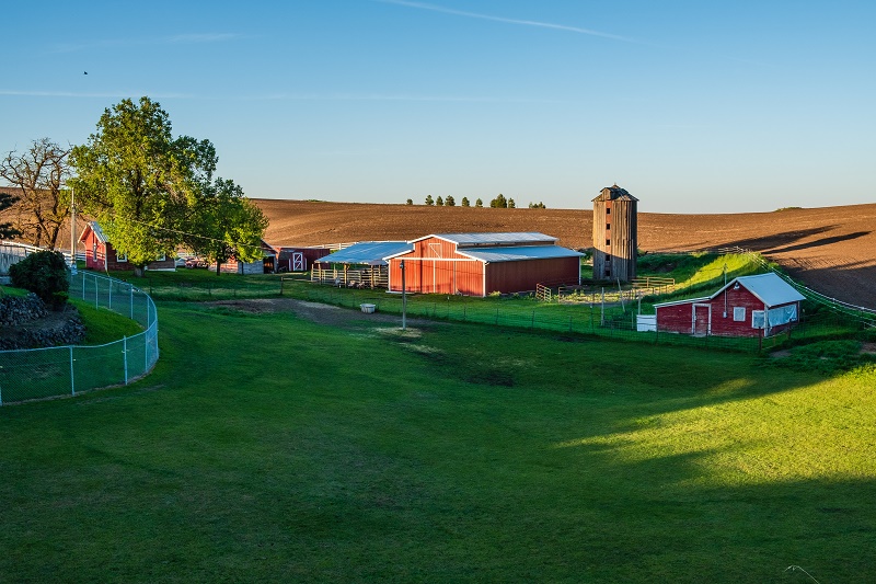 Growing Up in a Big Family on a Farm