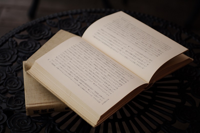 Reading Fantasy Novels