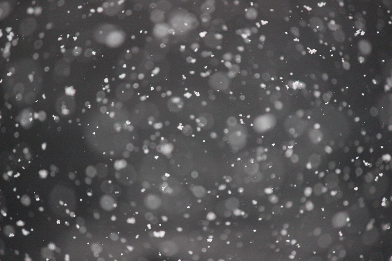 The Snow in May