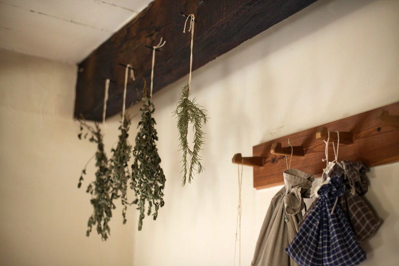 Hanging Mugwort