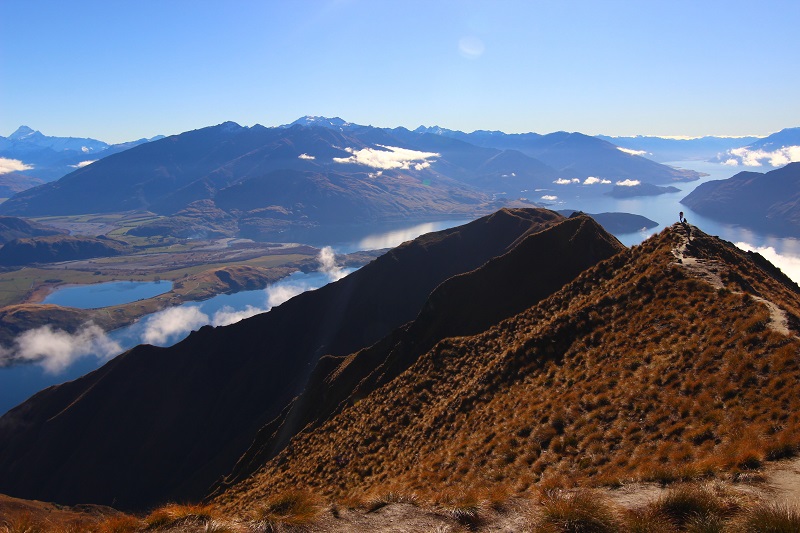 New Zealand: A Haven From the Pandemic and a New Study Abroad Hotspot!