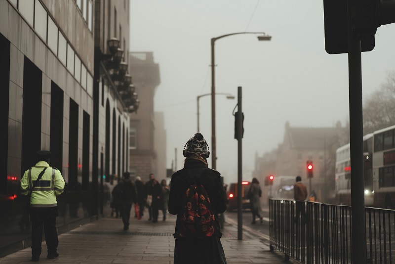 A Transfer Student From the North