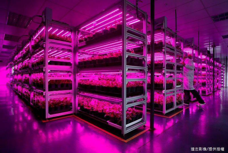 Urban Vertical Farm in Dubai