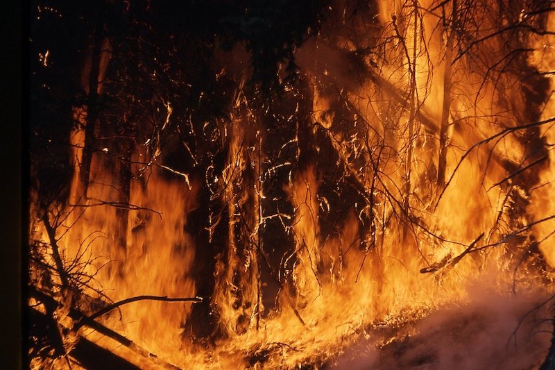 Massive Wildfires Rage Across US West Coast
