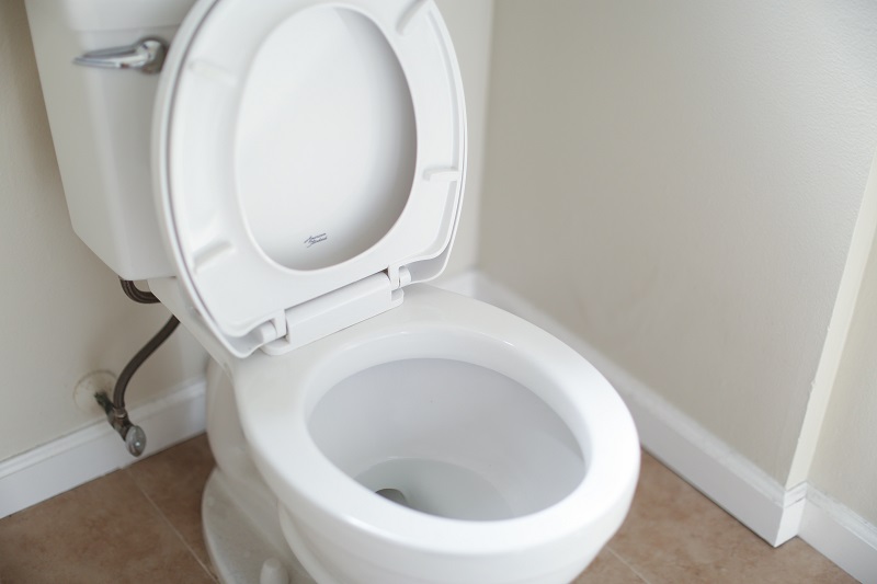 I Need a New Toilet Brush