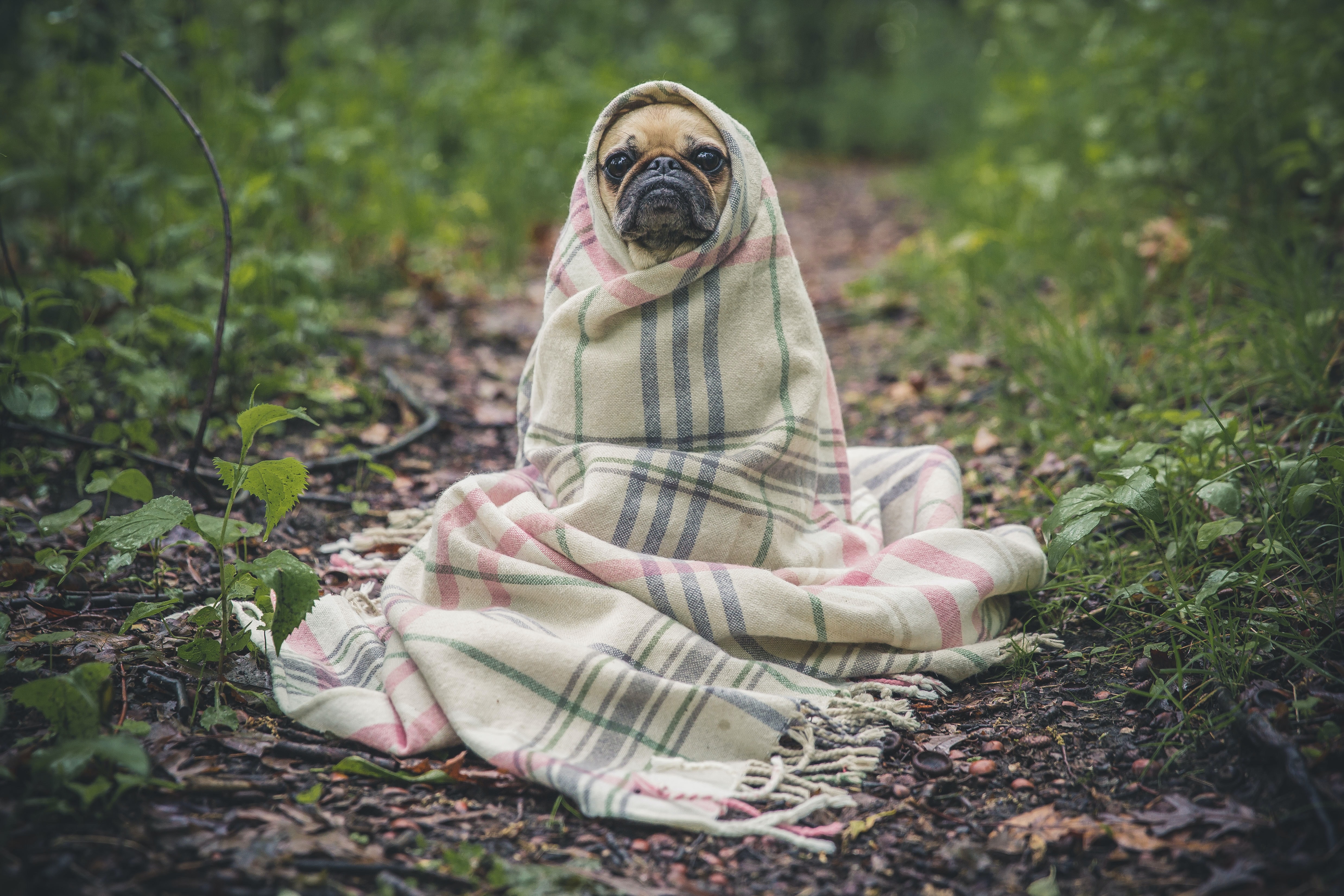 A Cold Front Is Coming