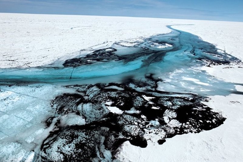 Algae Melting Greenland Ice Sheet