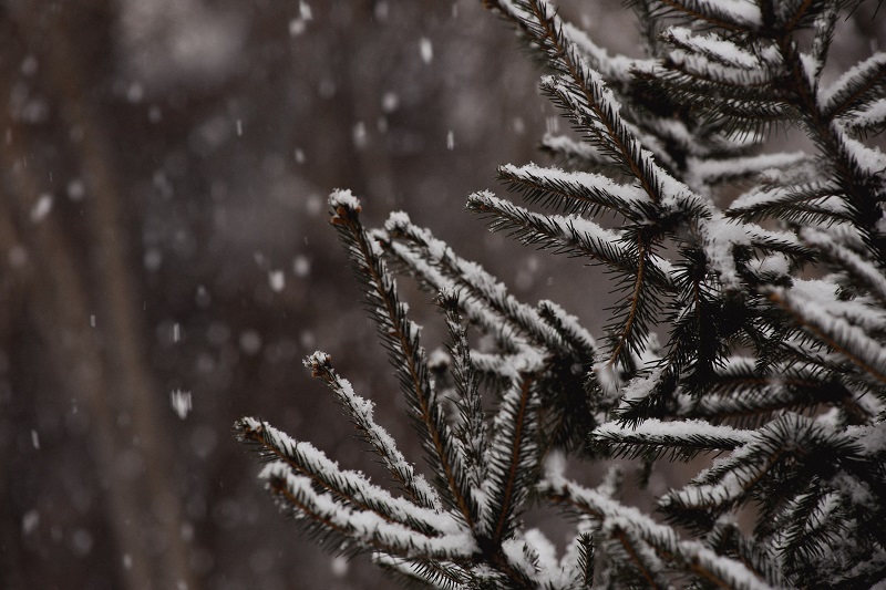 Temperature Drops to Zero on New Year’s Eve