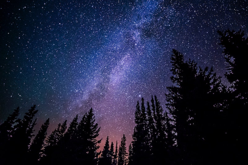Are All the Stars in the Night Sky Really Dead?