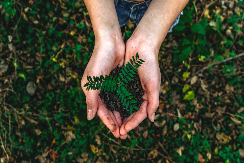 Earth Day 2021: Restore Our Earth