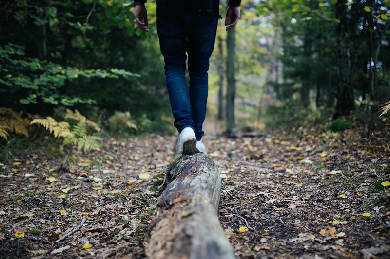 Did We Get Lost?