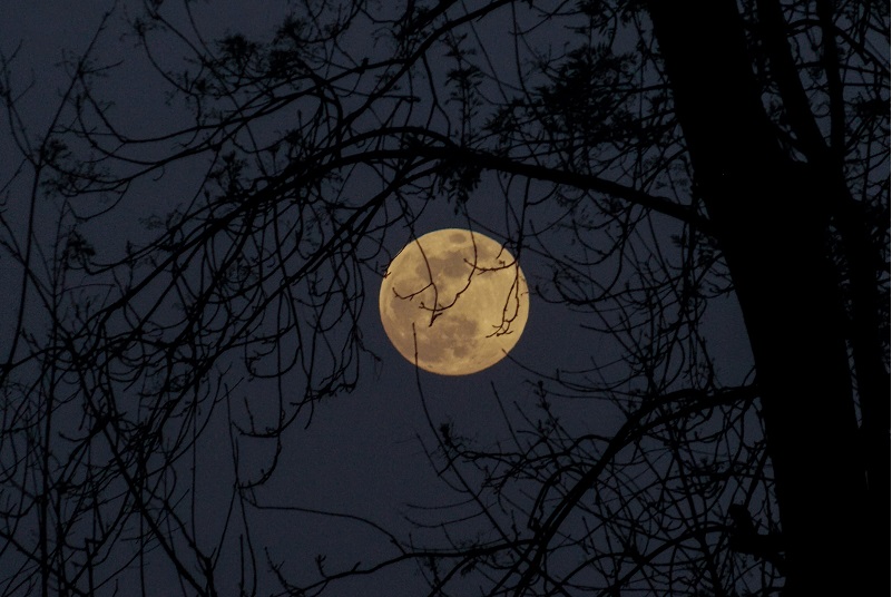 The Super Blood Moon