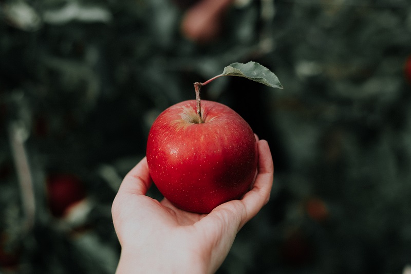 Hold This Apple for Me