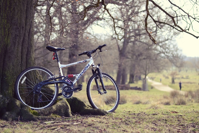 A Bicycle Trip Around the Island