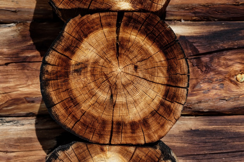 You Were Sleeping Like a Log