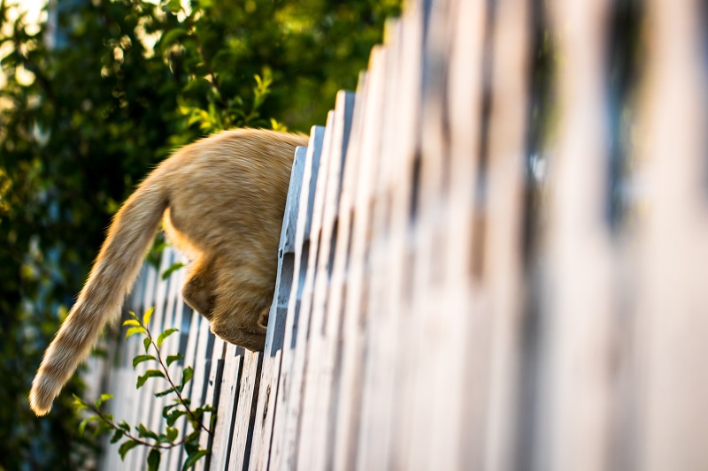 Getting Off Your Tail