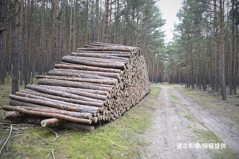 The Effects of Agriculture on the Environment