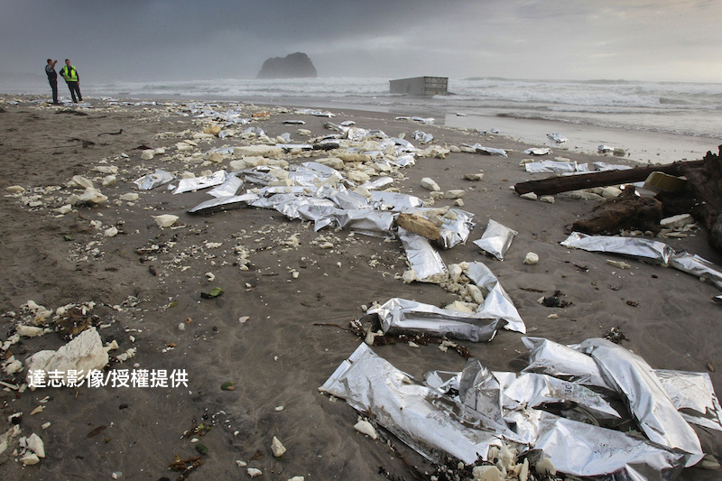 Plastic and Marine Life