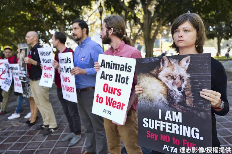 The Fur Industry