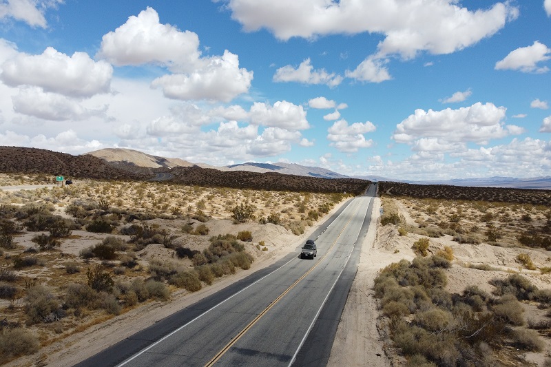 The Unfortunate Victims: Roadkill