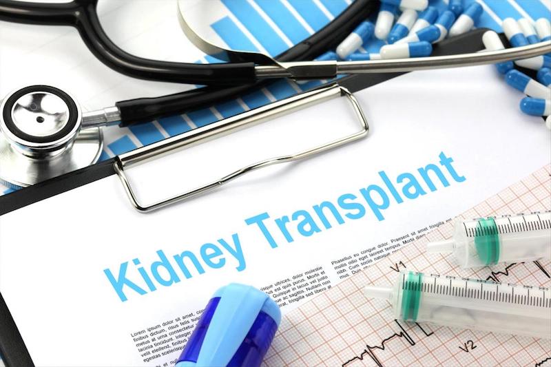 Pig Kidneys May Save Human Lives