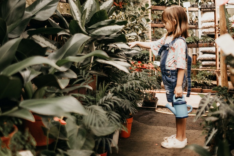 Growing Plants With Children