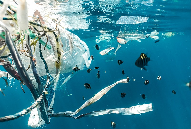 Microsoft Rolls Out Ocean Plastic Mouse