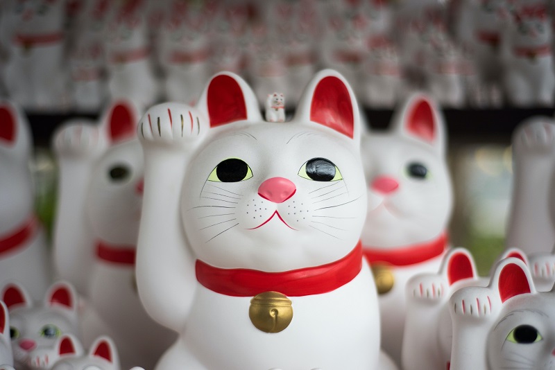 Putting a Lucky Cat on the Desk
