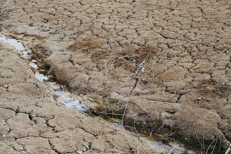Los Angeles’ Solution to Megadrought