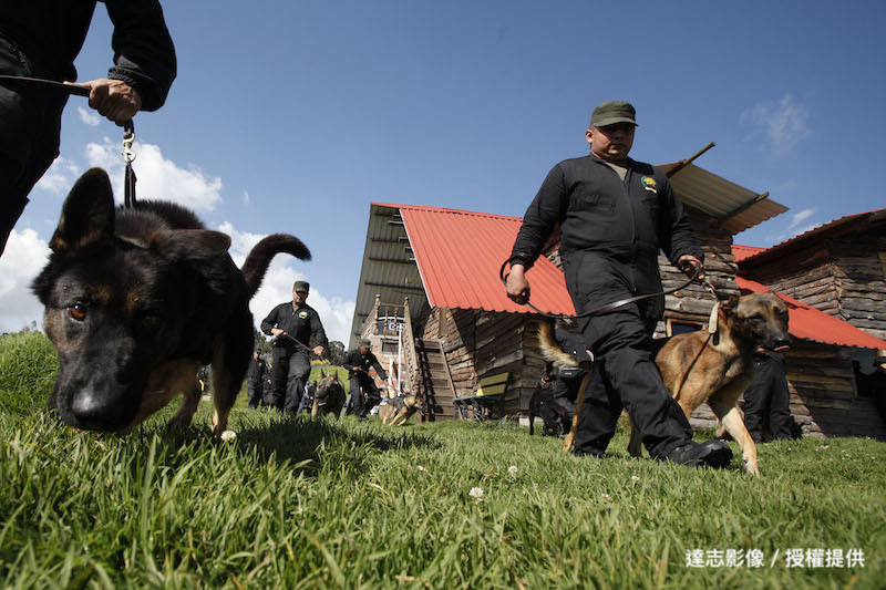 Amazing Sniffer Dog in Ukraine