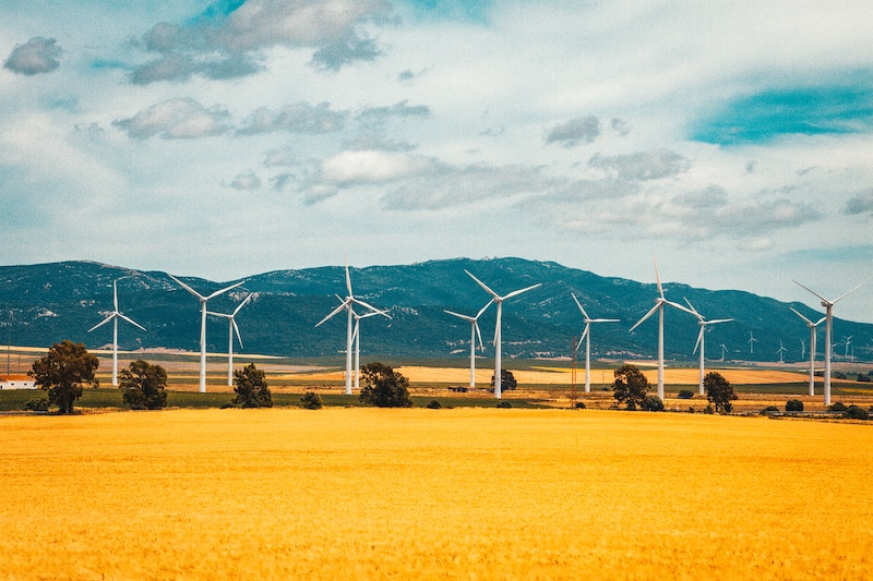 Company Environmental Policy