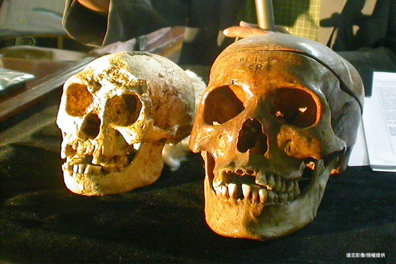 Possible Surviving ‘Hobbit-Like’ Ancestors in Indonesia