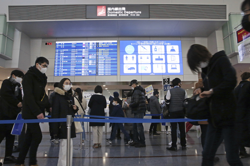 Domestic Travel Subsidy Program