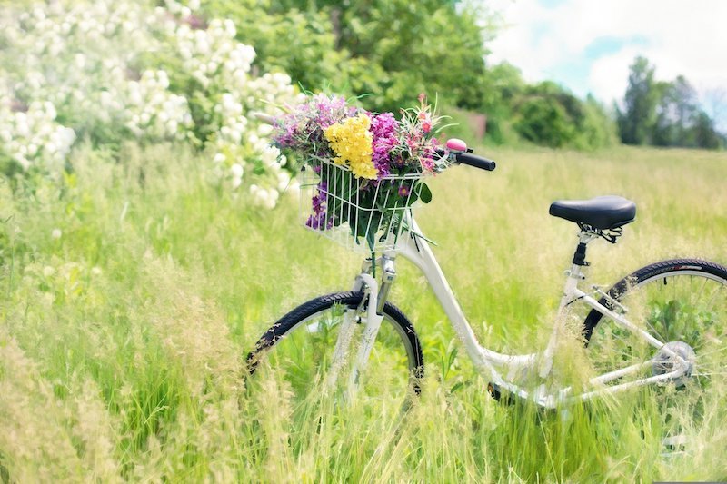 Riding a Bike by the River