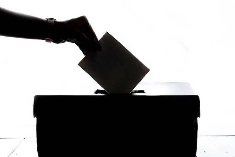 Types of Democracies