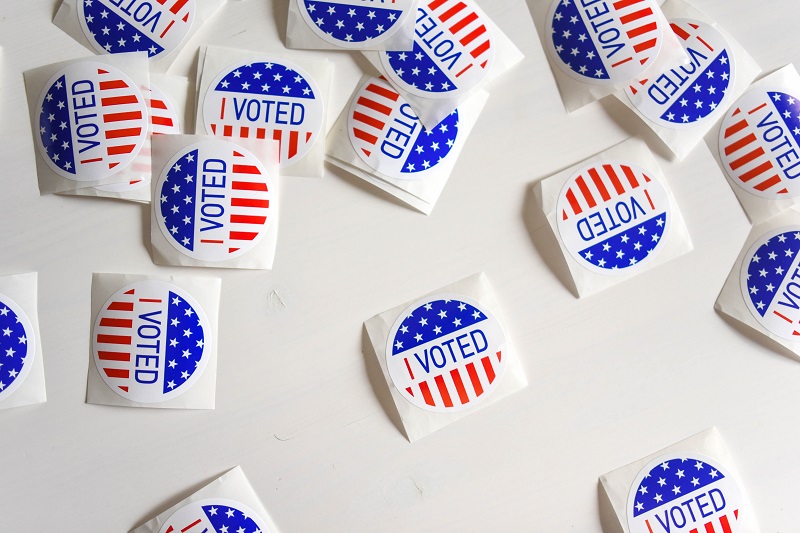 What Are the Main Characteristics of Democracies?