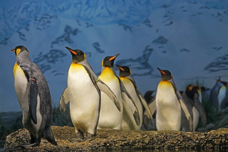 Working in Antarctica