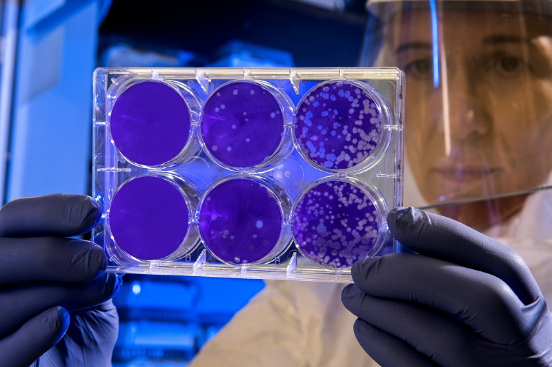 Biotech Companies Target Age-Reversal Solutions