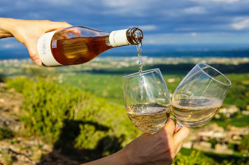 The Ancient Origins of Wine